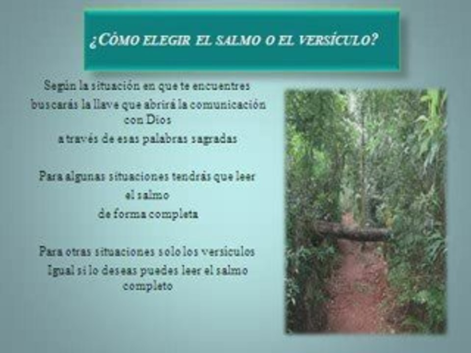 Seminario Palabras sagradas