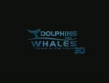 Bande annonce Dauphins et baleines 3D, nomades des mers