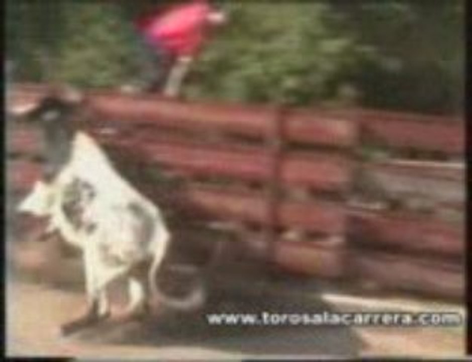 Encierros en Villalba pueblo 2003