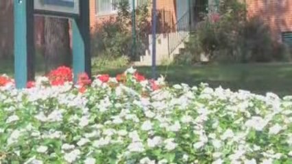 ForRent.com Hampton Gardens Apartments in St. Louis, MO