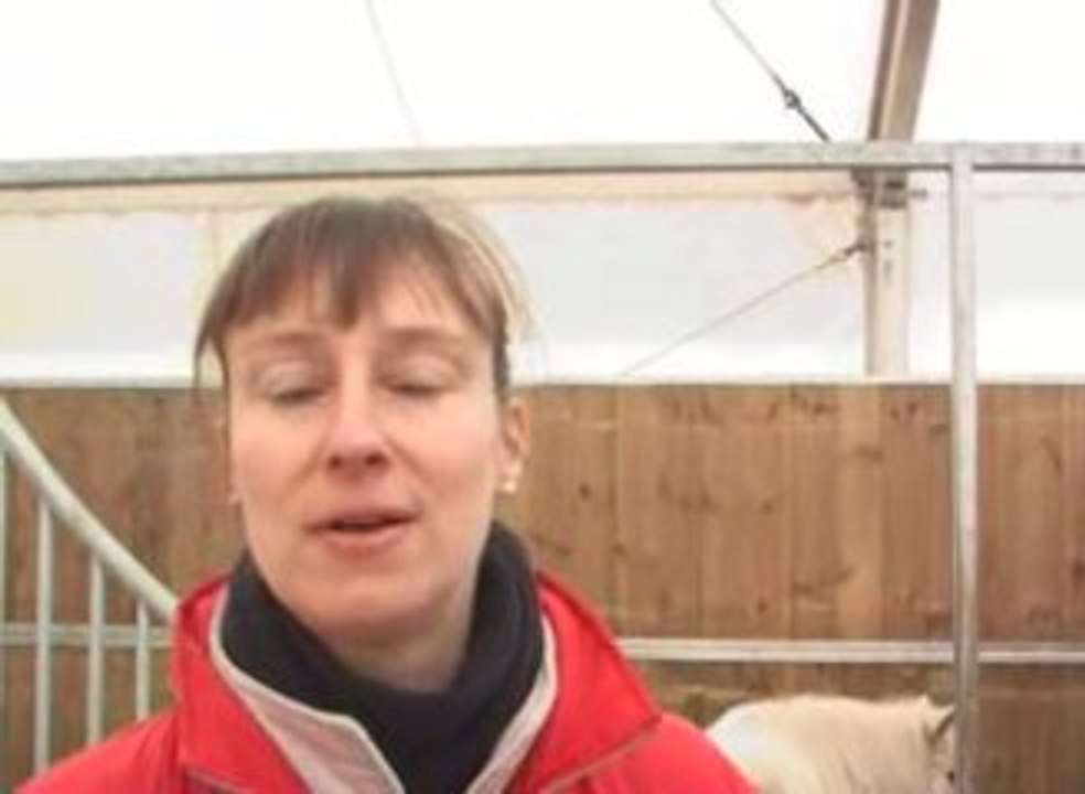 Opération faire du cheval à paris octobre, novembre 2008