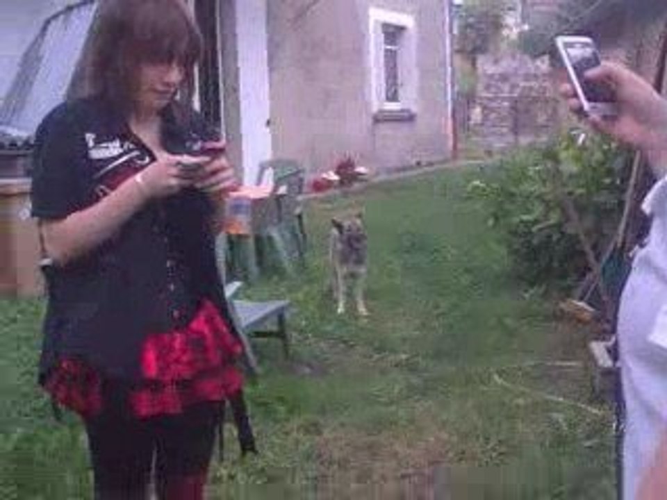 Pouet Pouet
