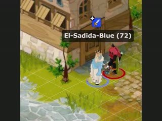 Dofus Brako-Lamine lvl 120