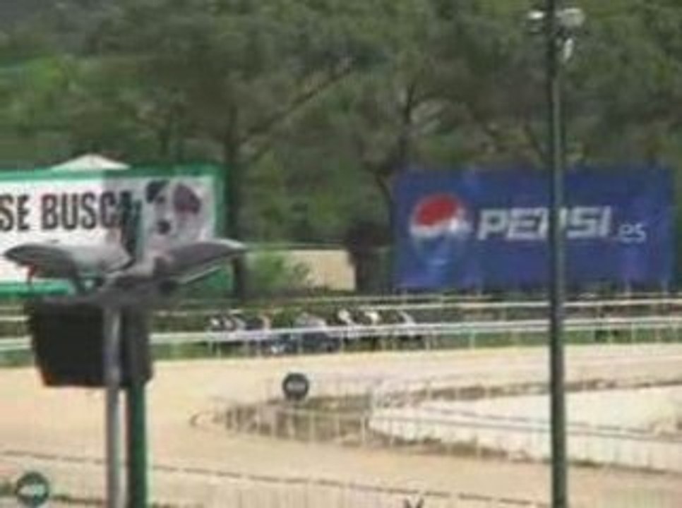 2009 (134) Premio NESPRESSO (H) (HERACLIO -IRE-)