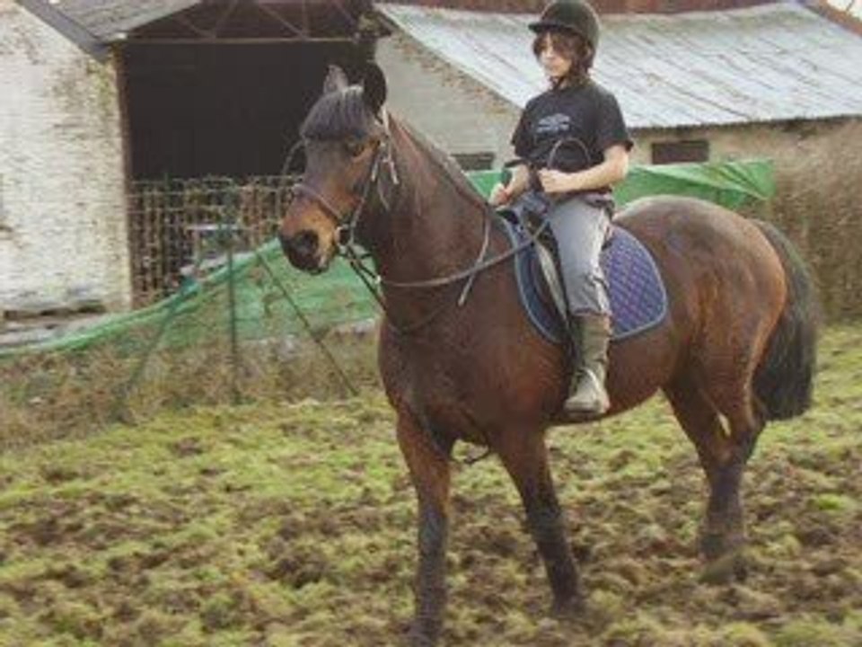 Mickael