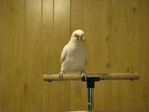 Le Rythme dans la Peau !!!