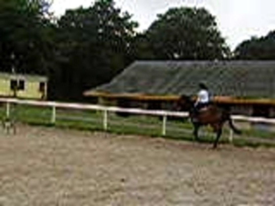 etvoila galop et autres