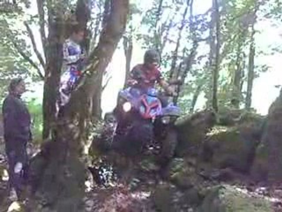 trialisant quad