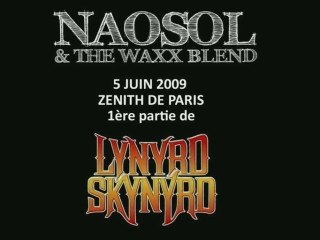 Premiere partie de Lynyrd Skynyrd au Zenith de Paris
