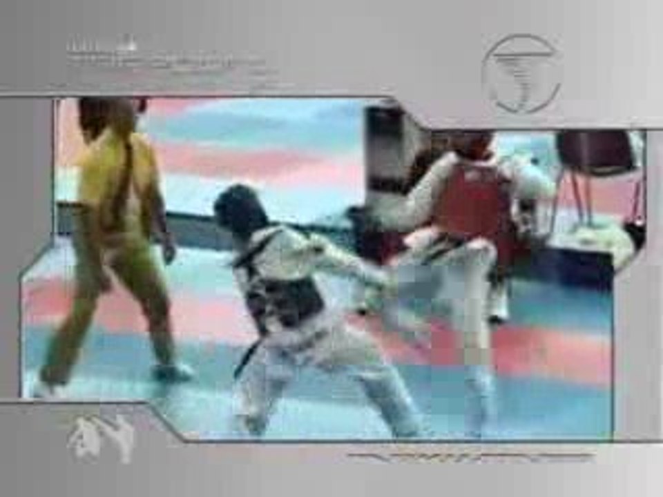 Martial Arts Crazy tricks