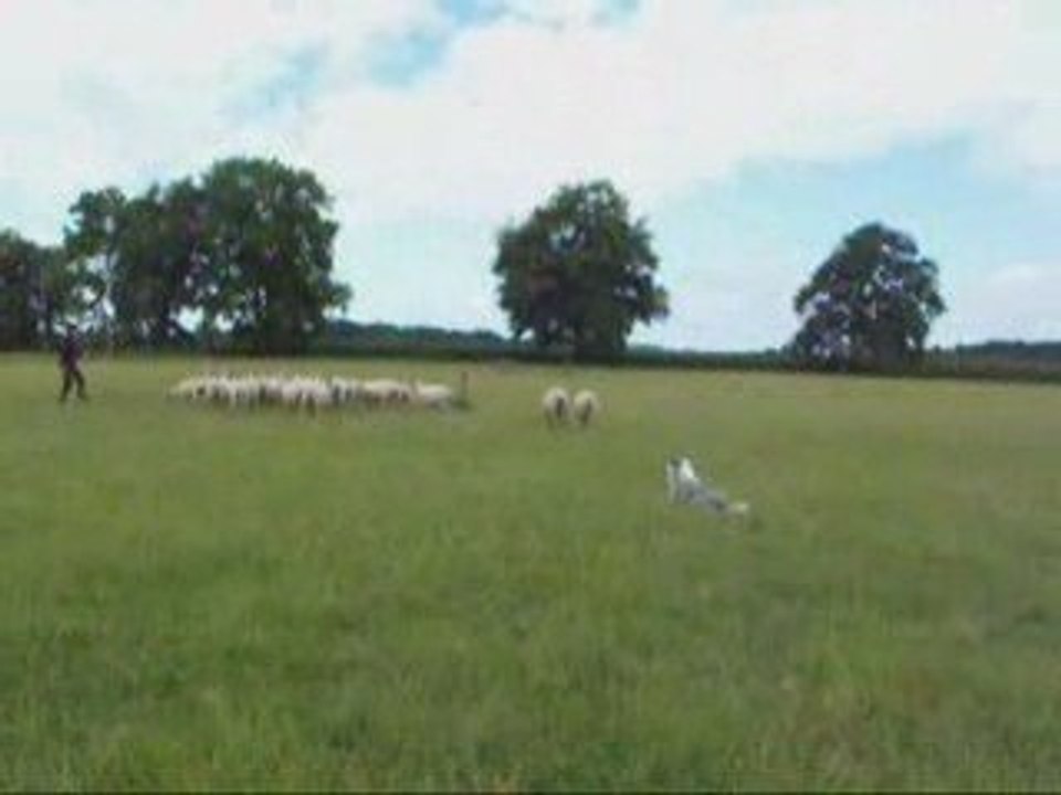 Coco concours IR du 7 juin 2009 -2