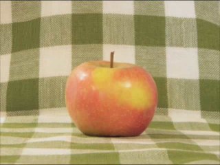 Histoire de pommes de Claire Danvy