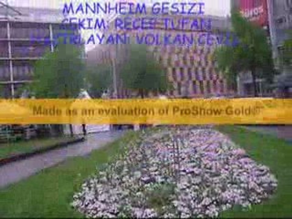 Mannheim Gezisi