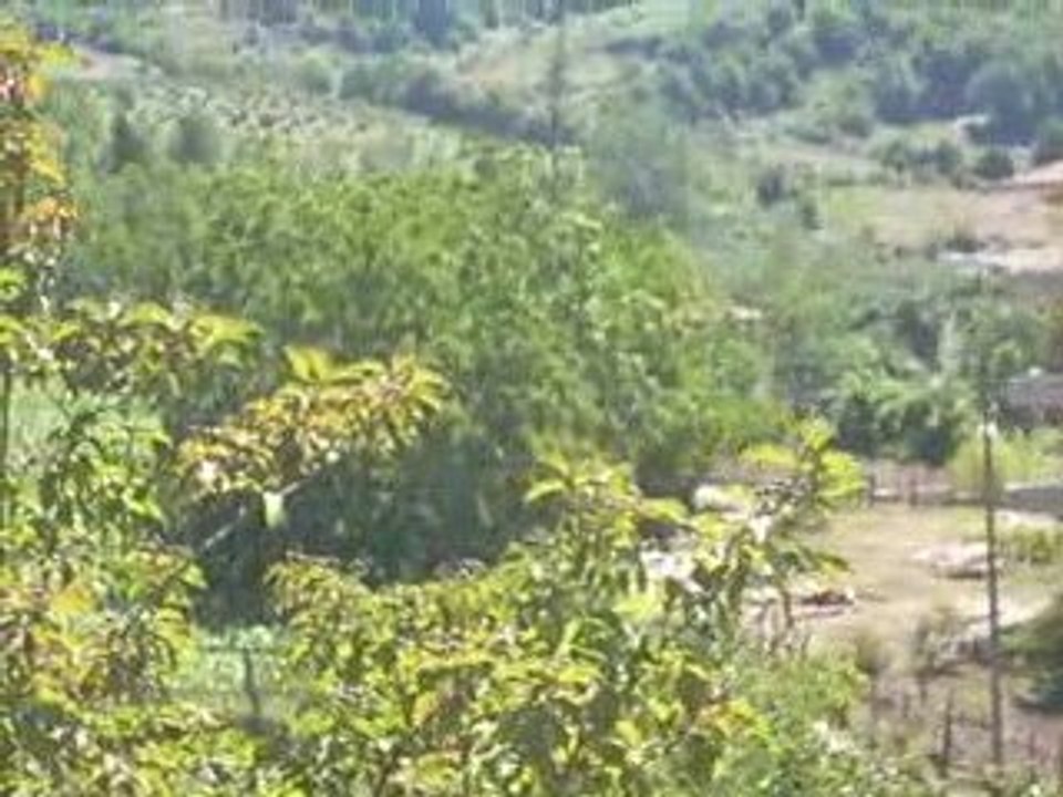 Ishakça köyü harmandan