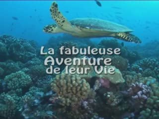La Fabuleuse Aventure de leur Vie