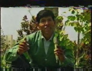 Programa Siempre Verde 5 - Tv canal 7 - Parte 2