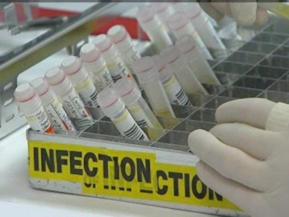 WHO Director General officially declares swine flu pandemic