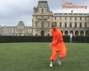 Shaolin Kung Fu