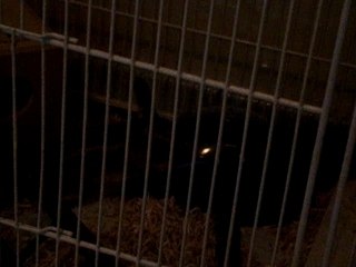 Rencontre KitKat et Naïade 2