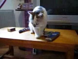 P1190738 jeu fil laine sur table