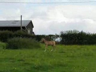 Very Pretty Kool, 3 semaines