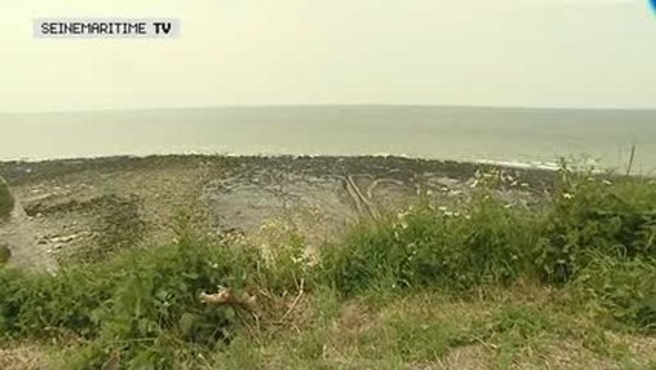 Visite d'un espace naturel sensible, la valleuse d'Eletot