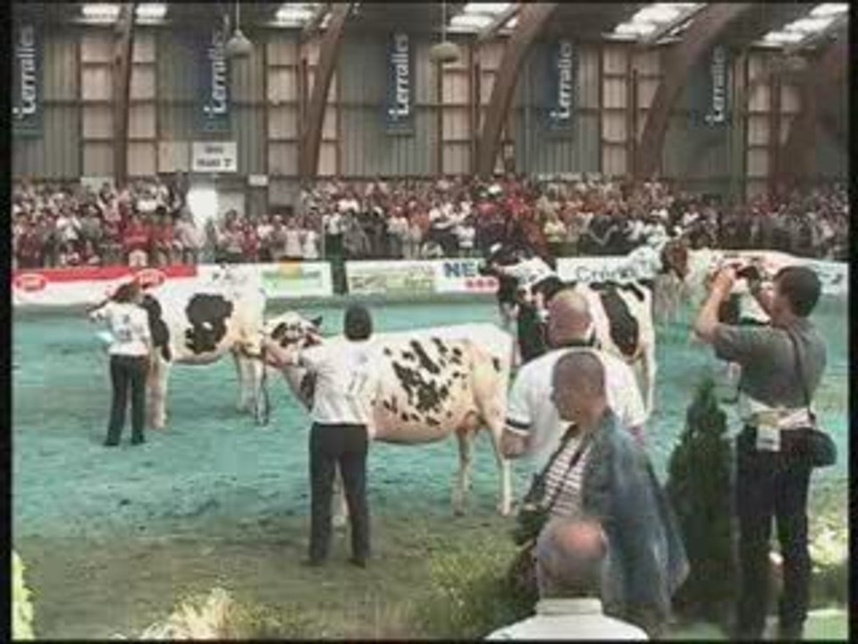 National Prim'holstein-Saint Brieuc-Grande Championne