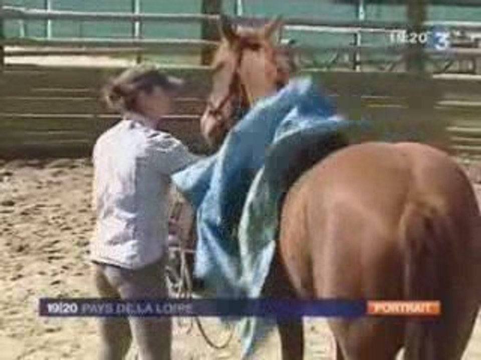 équitation éthologique - Aurélie Natural Horsemanship