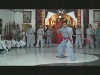 Shaolin Wing Chun Nam Anh Kung Fu - Video Montage