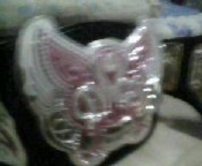 comparing the divas belt and other title belt