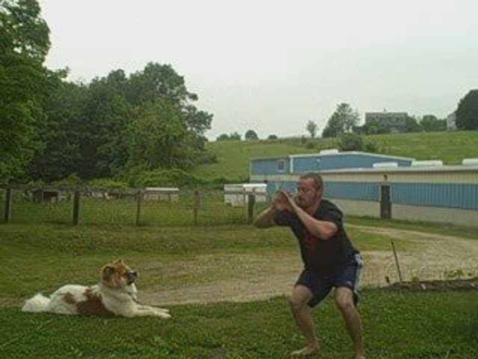 How to Fire up Your Jump Squat by Increasing Sophistication