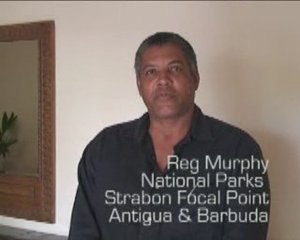 Strabon Caribbean - Reg Murphy - Antigua & Barbuda