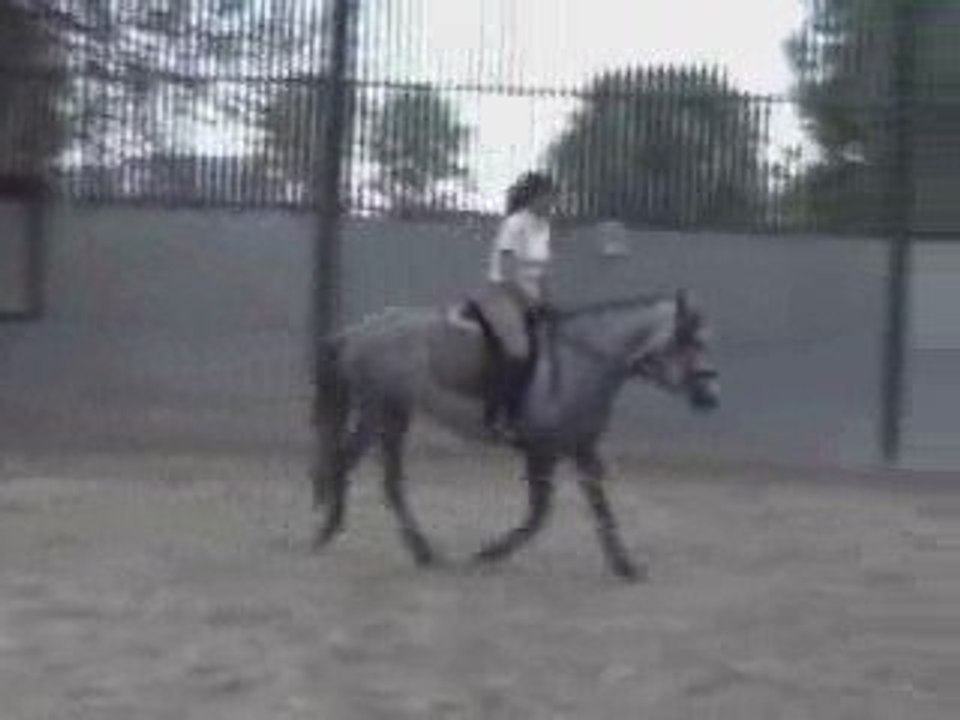 Zalema dernière séance de débourrage 30 mai 09
