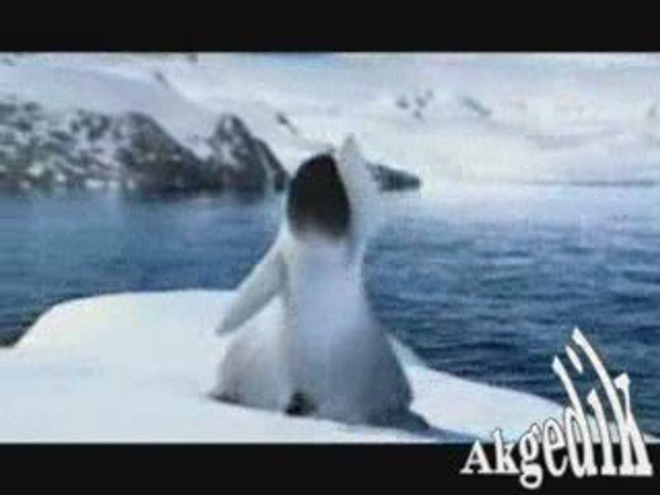 Garip bir kuştu gönlüm - Orhan Hakalmaz