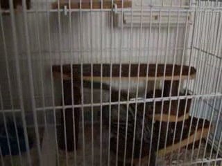 Rencontre KitKat et Naïade 5