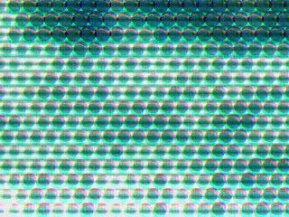 Walter Trout "Workin' Class"