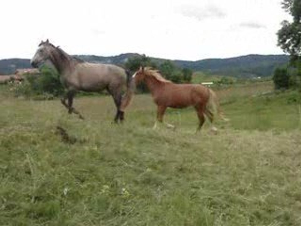 texinou mange