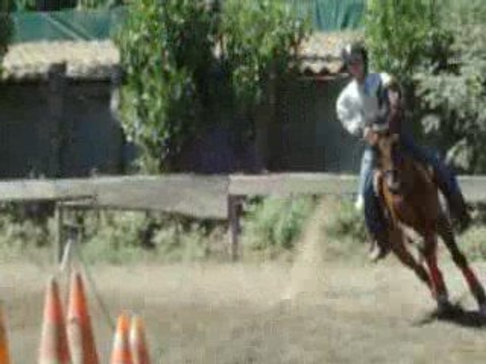 Snoopy (trotteur-arabe) et Maxime en Barrel Race