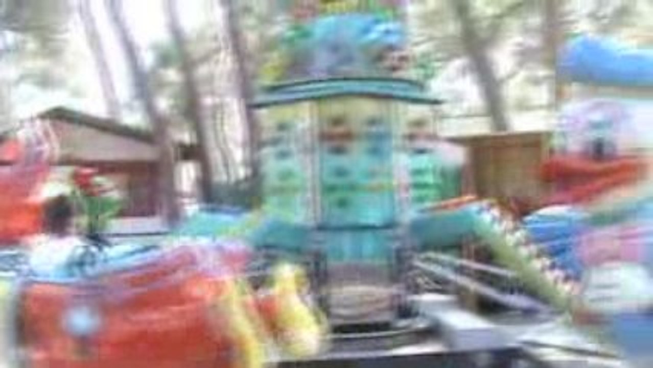 Le Fly Mickey
