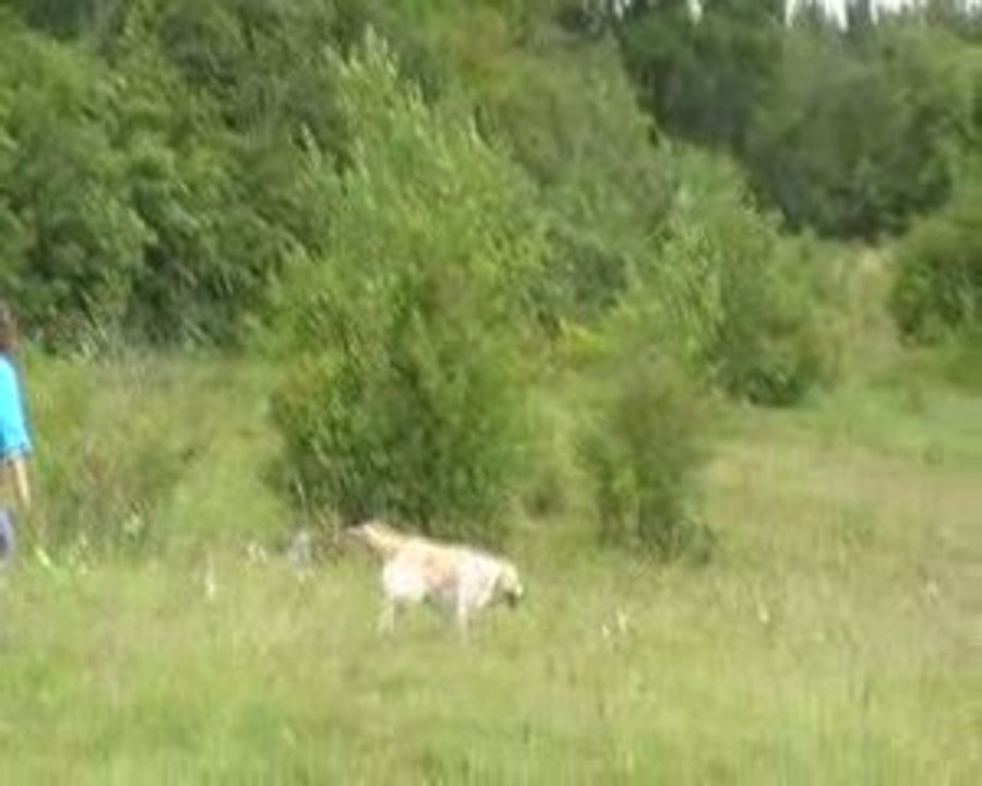 Canel sur zone de confiance 11 juin 2009