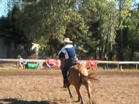 Franck P. et Kid Little Brennas (Quarter horse) en reining