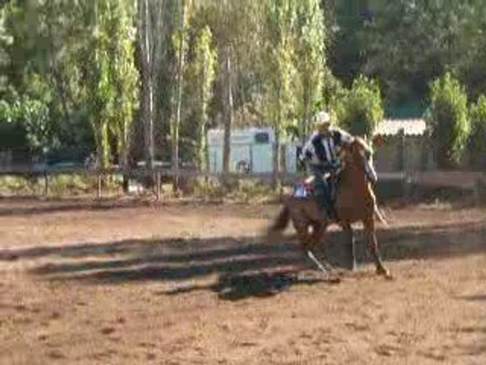 Franck P. et Kid Little Brennas (Quarter horse) en reining 2