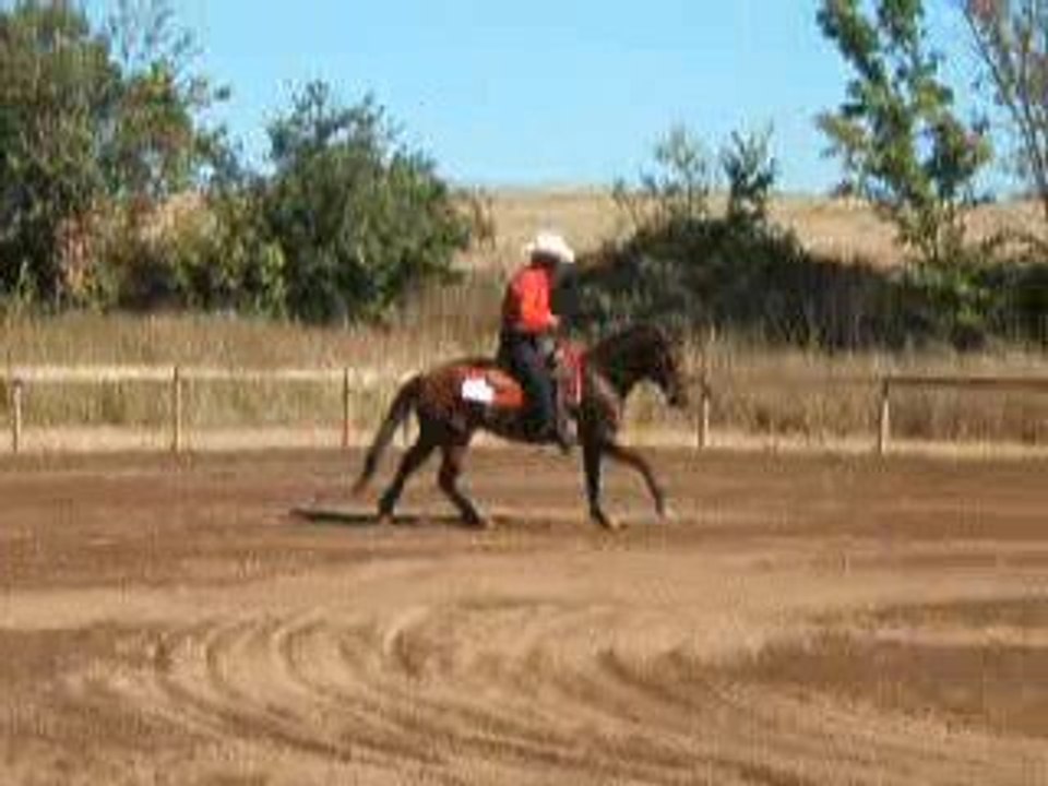 Jean Jacques Borreil en reining 4