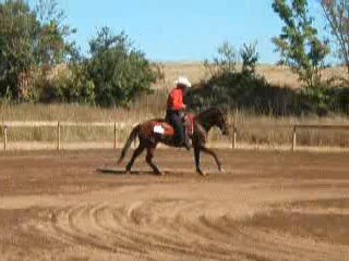 Jean Jacques Borreil en reining 4