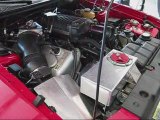 2003 Ford Mustang Cobra Dyno Pulls