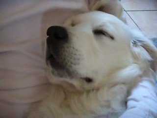 Je dors et... je ronfle !