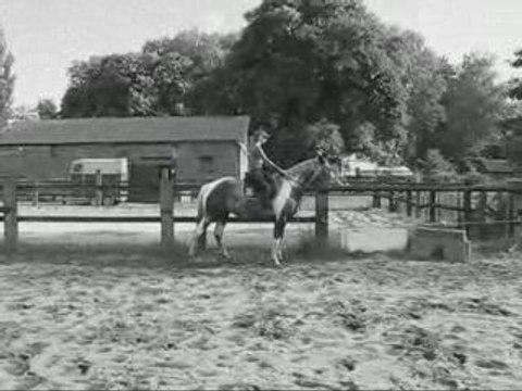 Ma jument & Moi ( xlL )