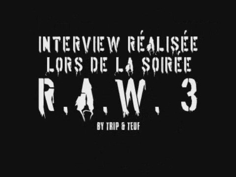 Interview de Nico & Tetta lors de la R.A.W 3 by Trip & Teuf