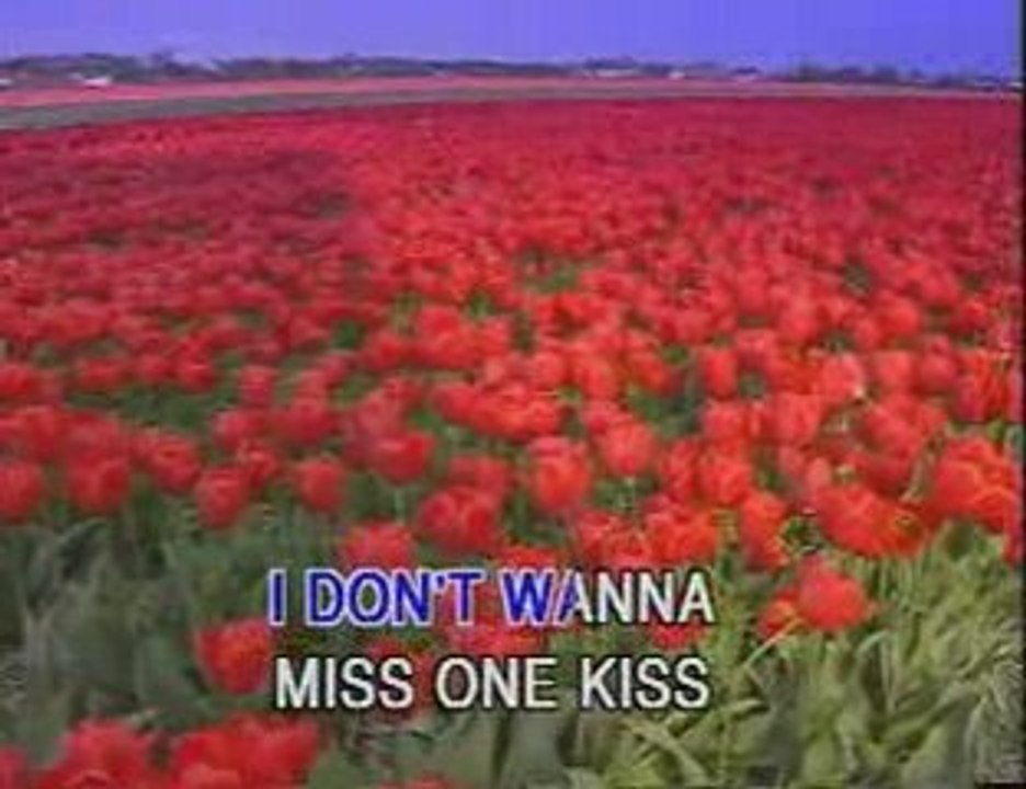 Aerosmith - paisajes holanda