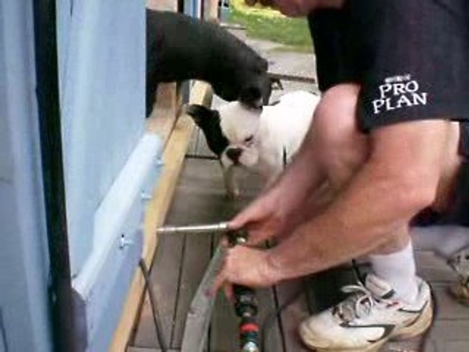 cachou et les travaux